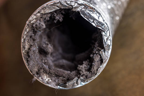 Best Air Duct Cleaning Near Me  in Itasca, IL