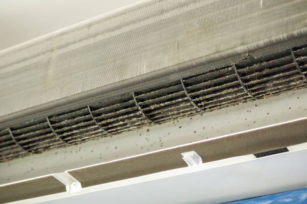 Best Local Air Duct Cleaning Services  in Itasca, IL